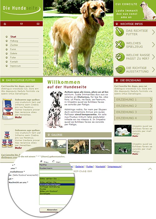 Club Hunde VI